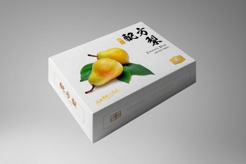 特色產(chǎn)品包裝設(shè)計(jì)到印刷制作的一體化整合 以無(wú)脊椎動(dòng)物主題為例