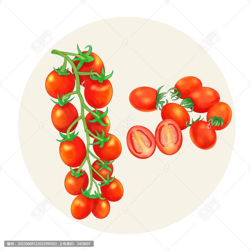 手繪水彩風(fēng)格圣女果食品包裝設(shè)計(jì)模板與無(wú)脊椎動(dòng)物的創(chuàng)意融合