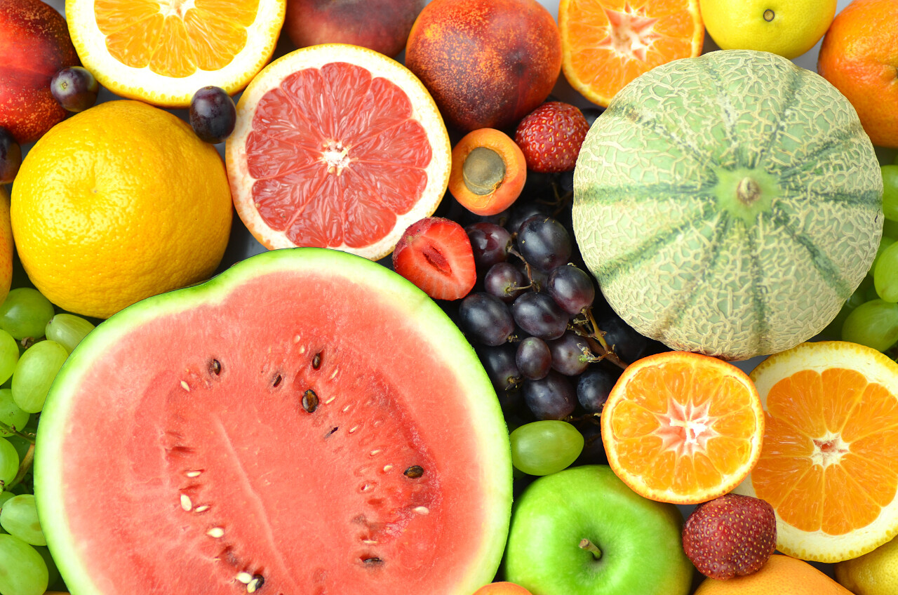 無(wú)脊椎動(dòng)物與水果 自然界中的奇妙組合