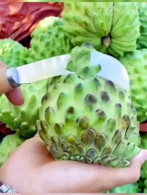 嘗過這款“樹上蜜糖”嗎？——探訪源頭好生鮮的甜蜜秘密